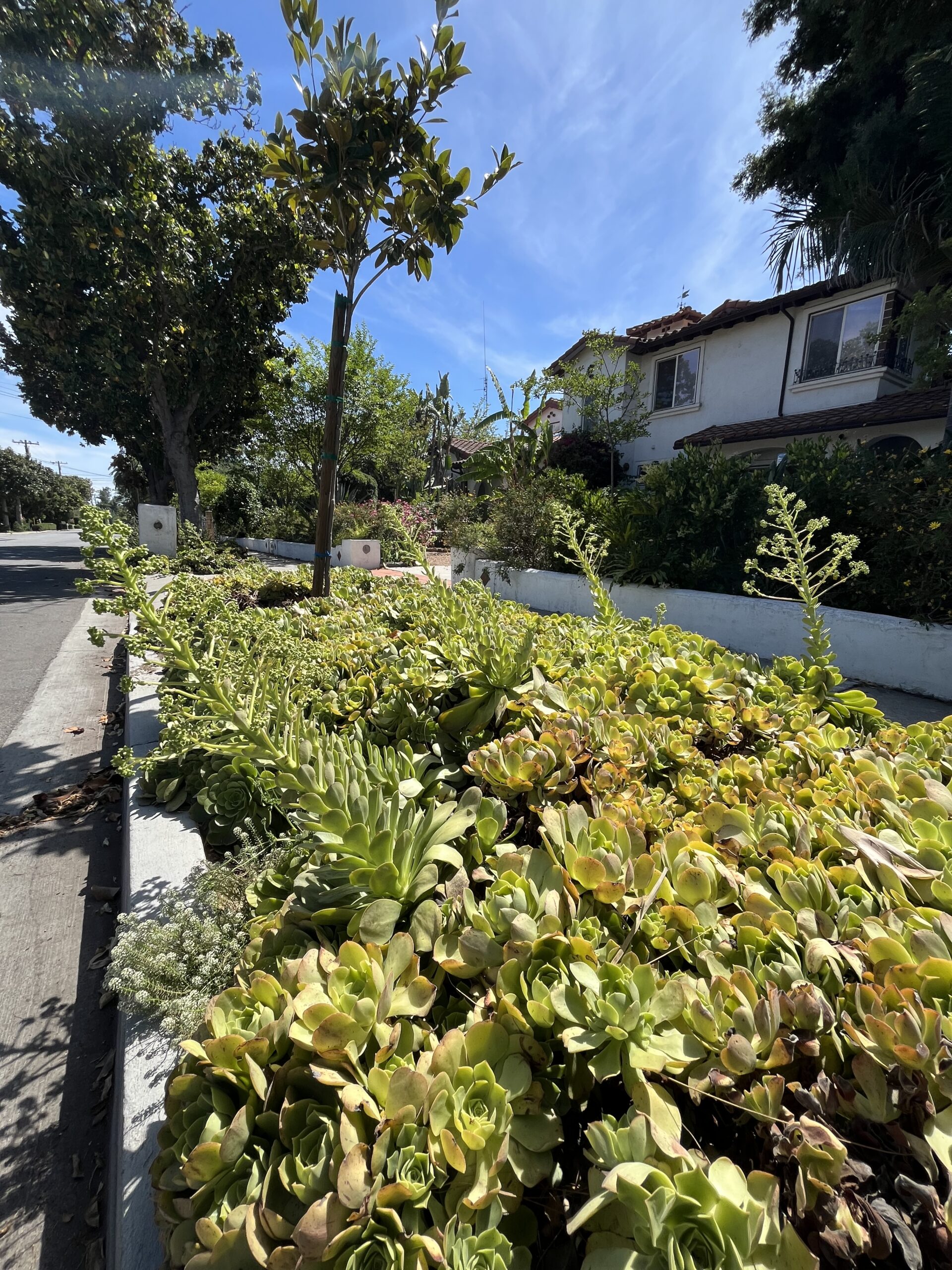 Discovery Walk @ Arcadia Ecohome